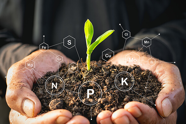 重金屬污染土壤修復(fù)